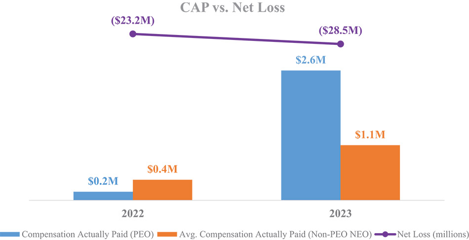 [MISSING IMAGE: bc_netloss-4c.jpg]